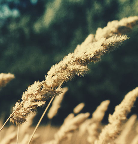 小黑ddos压力测试平台