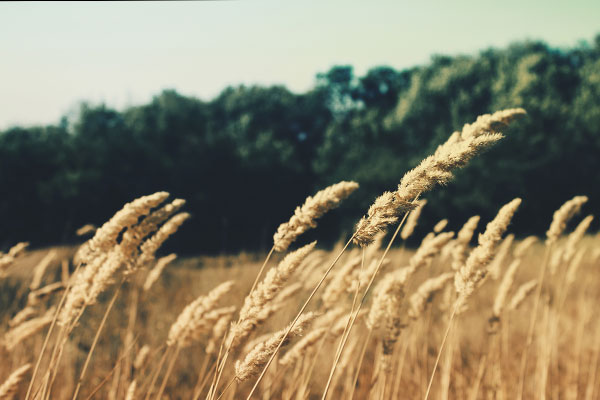 免费ddos在线攻击